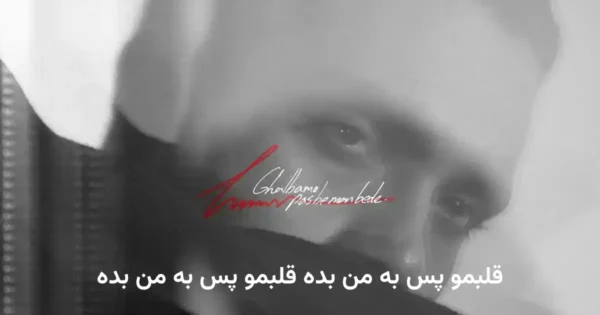 دانلود آهنگ حامیم قلبمو پس به من بده