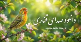 دانلود صدای قناری نر و ماده