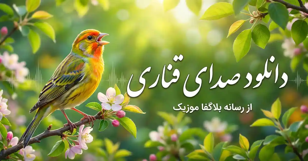 دانلود صدای قناری نر و ماده برای آموزش و تحریک جفت + پلی لیست