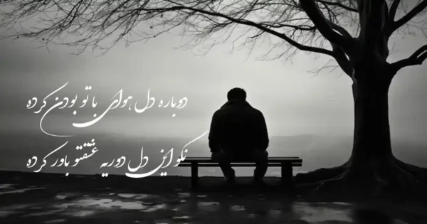 دانلود آهنگ دوباره دل هوای با تو بودن کرده آرش دلفان