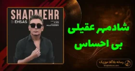 دانلود آهنگ شادمهر عقیلی بی احساس: دیدی گفتم ته این رابطه بُن بسته