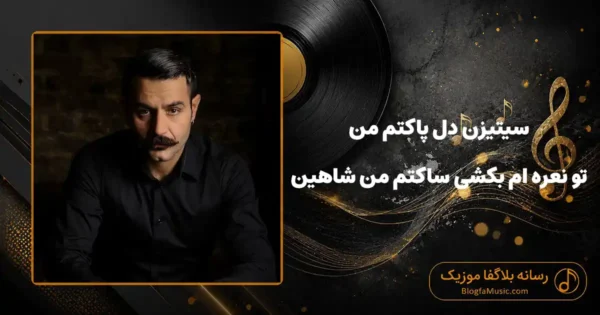 دانلود آهنگ سیتیزن دل پاکتم من تو نعره‌ ام بکشی ساکتم من شاهین نجفی